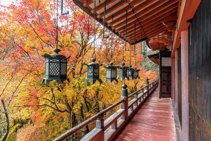 Chanwit Ohm/shutterstock.com