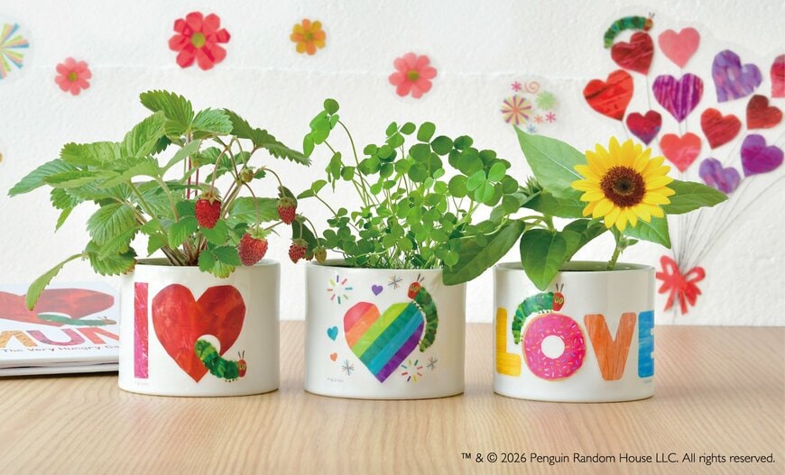 50周年アニバーサリー！大人気絵本『はらぺこあおむし』と一緒に植物を育てる〈栽培キット〉が登場。ストロベリー・ひまわり・四つ葉のクローバーの3種類から選べます！