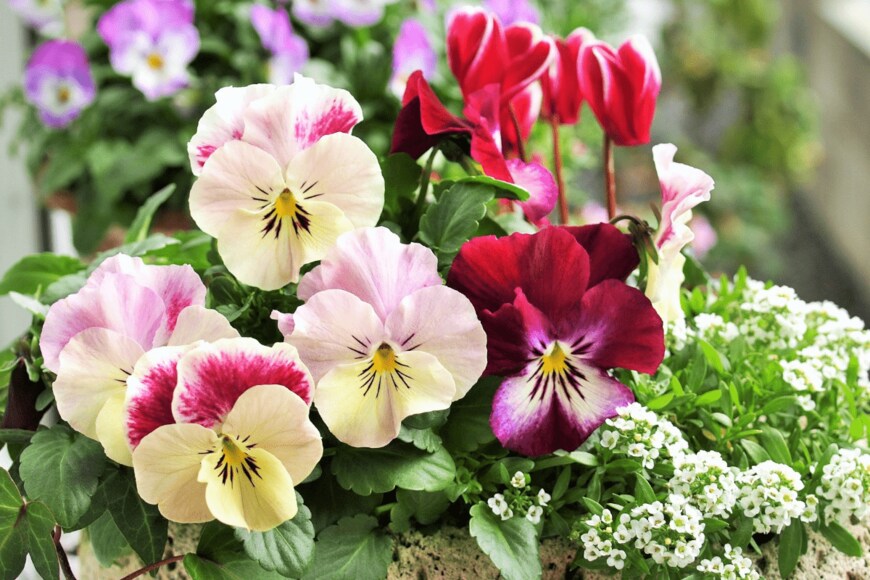 syan/istockphoto.com