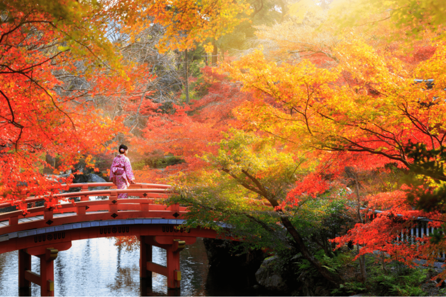 京都で紅葉を今見るなら！おすすめ紅葉スポット10選