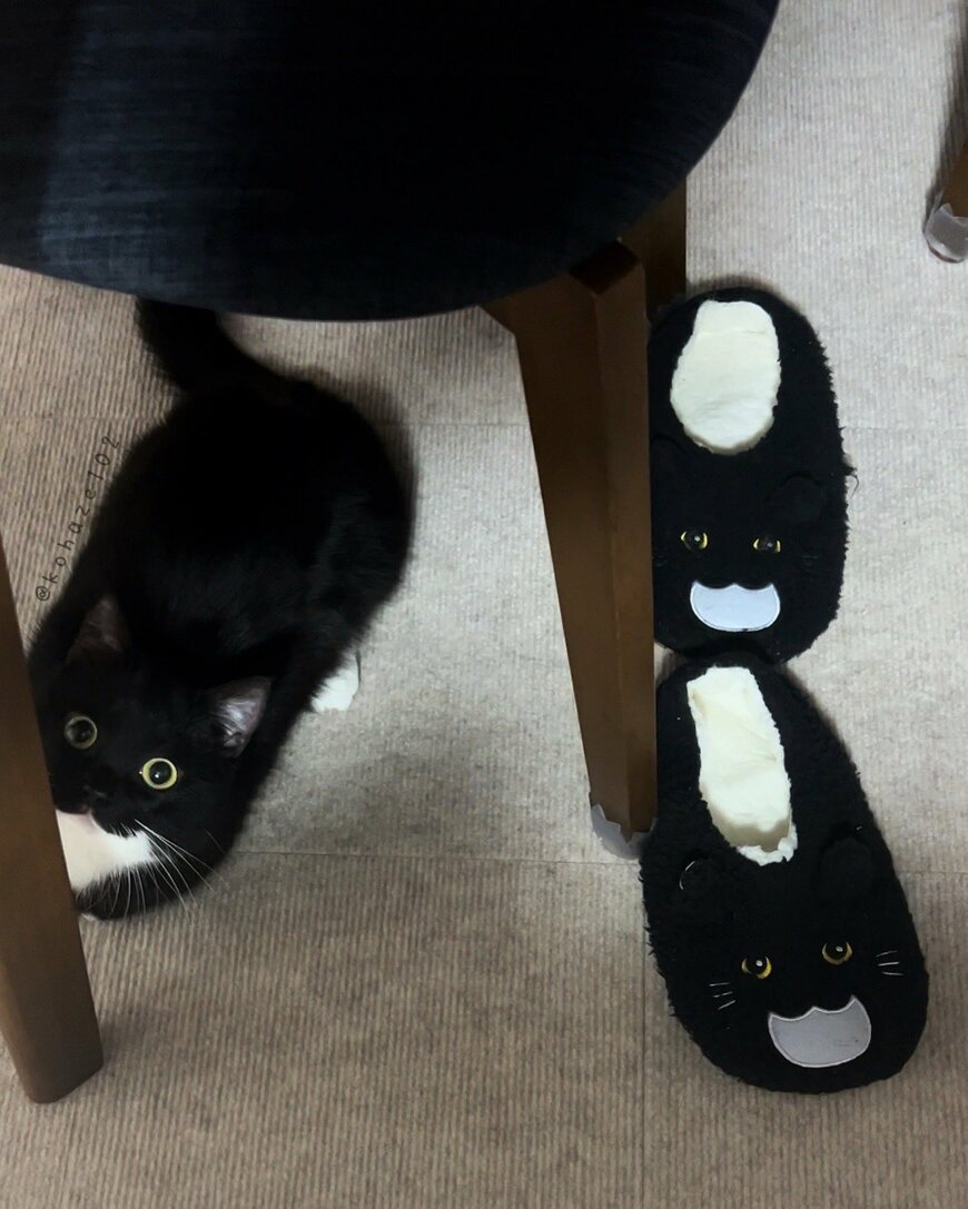 黒猫のスリッパ