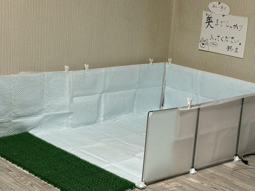 新たに作り直した犬のトイレ