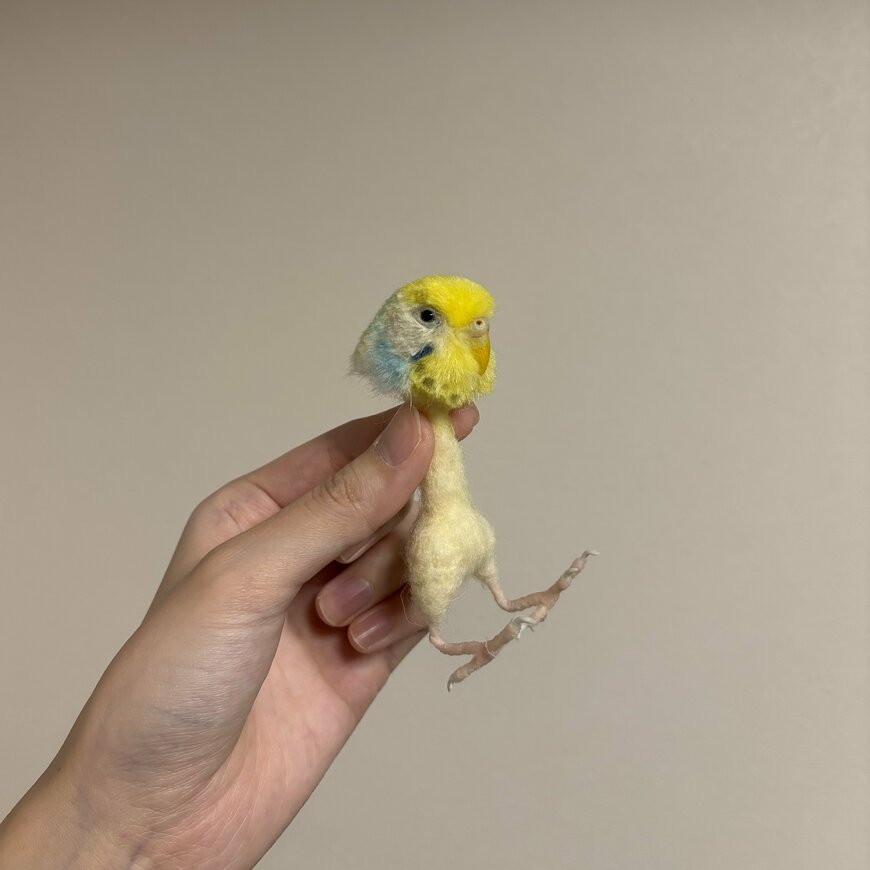 頭だけ制作済みの羊毛フェルトのセキセイインコ