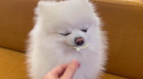 投稿動画のワンシーン