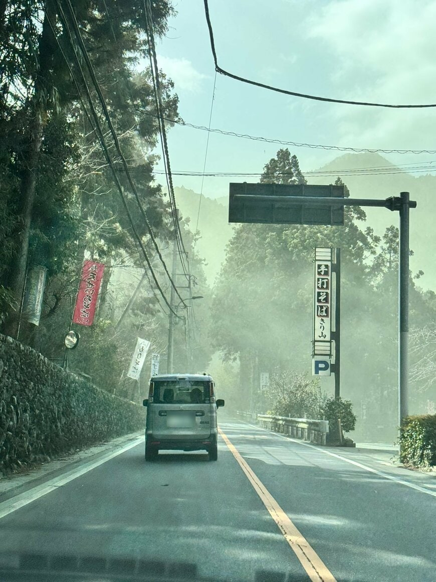 奥多摩の道路と花粉