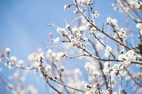 障害年金「一生もらえる制度」ではない。年金と給付金の目安額をみる「申請前に知っておきたい」3つの要件とは？現役FPが解説