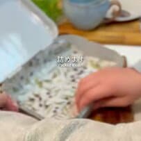 【旦那弁当】色も顔も可愛い〈手作りだるまパン〉に具をたっぷり挟んだ「サンドイッチ弁当」が話題