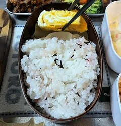 元料理人の父が残り物おかずで作る【自分弁当】ご飯に直のせした＜タレ染み生姜焼き＞がおいしそう！