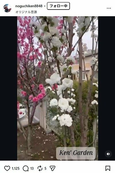 野口健のInstagram投稿