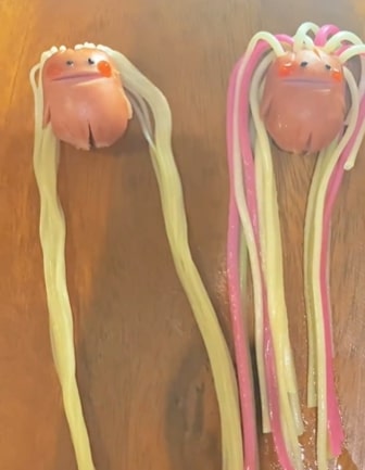 投稿動画のワンシーン