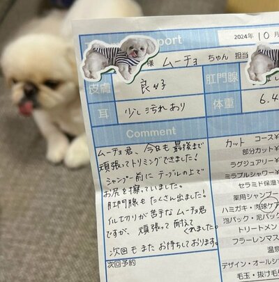 爪切り頑張った犬