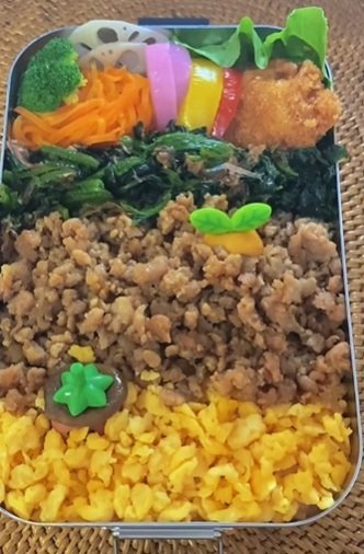 投稿動画のワンシーン