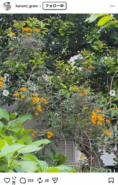 栗原はるみのInstagram投稿