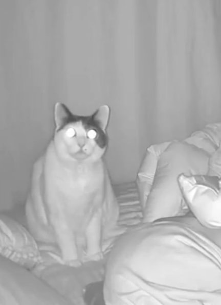 【犯人は？】暗視カメラをチェックすると…→睡眠を妨げていた理由にほっこり