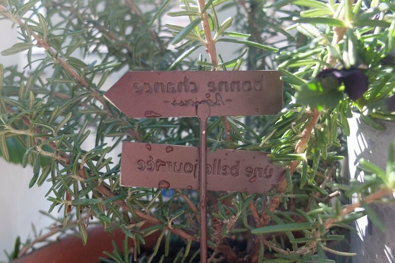 セリア、ブリキガーデンピック プレート筆者撮影写真