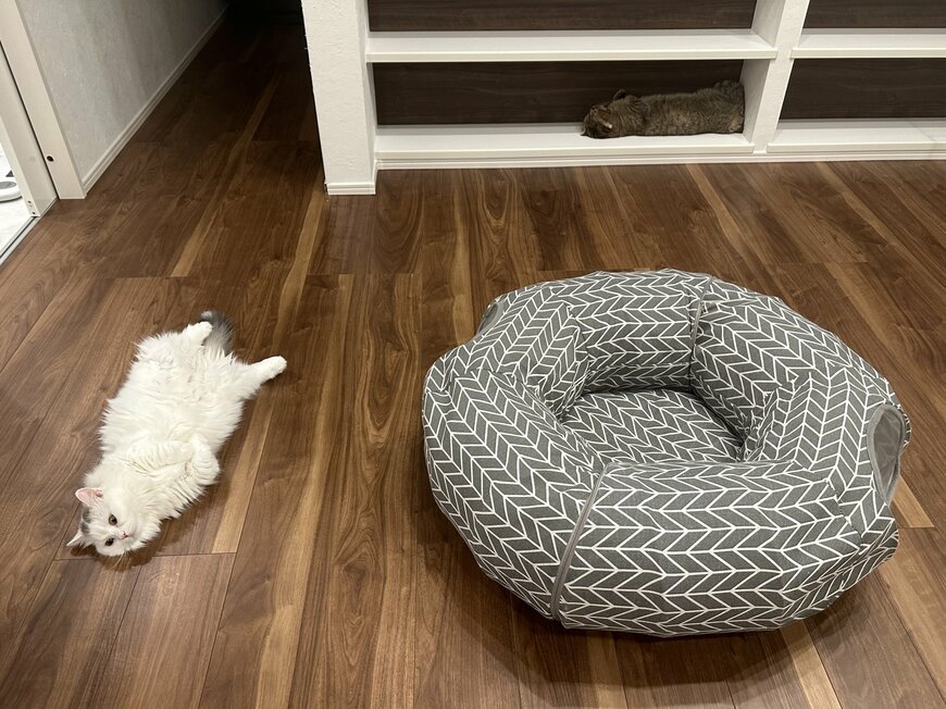 出所：@ponpokopontanu