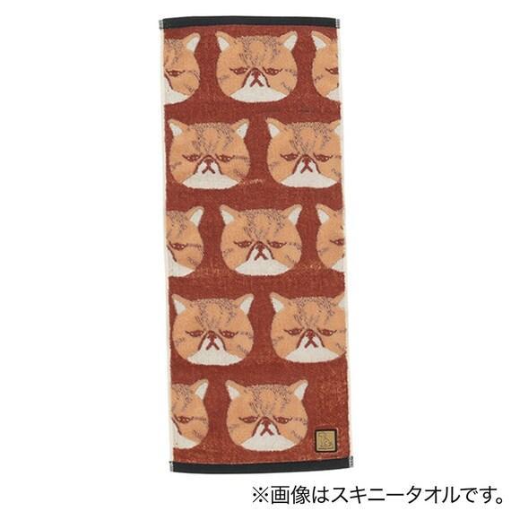 出所：ニトリ公式通販ニトリネット キャリータオル＆スキニータオル 2点セット (エキゾチックショートヘア)