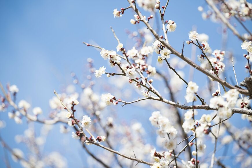 障害年金「一生もらえる制度」ではない。年金と給付金の目安額をみる「申請前に知っておきたい」3つの要件とは？現役FPが解説