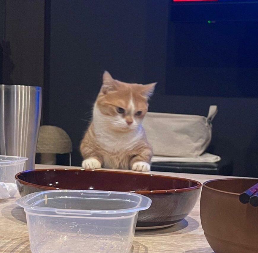 出所：@kotaro_0315