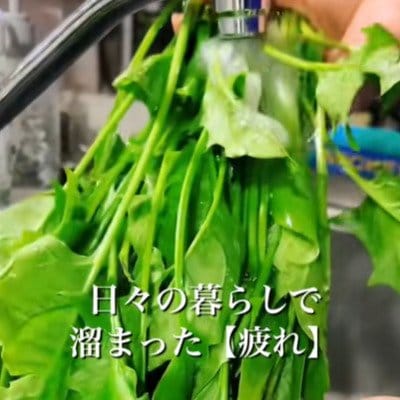 【簡単愛情弁当】お花やウインナーの飾りが可愛くて思わずにっこり！妻が夫に作る思いやり弁当が素敵