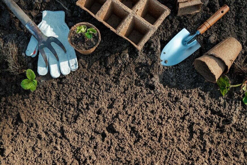 MARHARYTA MARKO/istockphoto.com