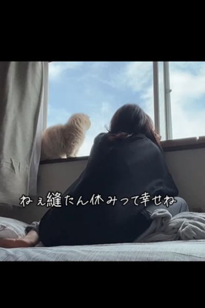 【愛情たっぷり】飼い主さんの「構って」を無視し続ける猫…最後の行動にSNSでは「ツンデレの極み」と反響続々