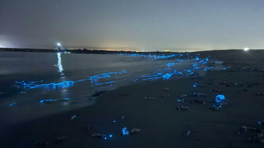 出所：@HotaruikaOjisan