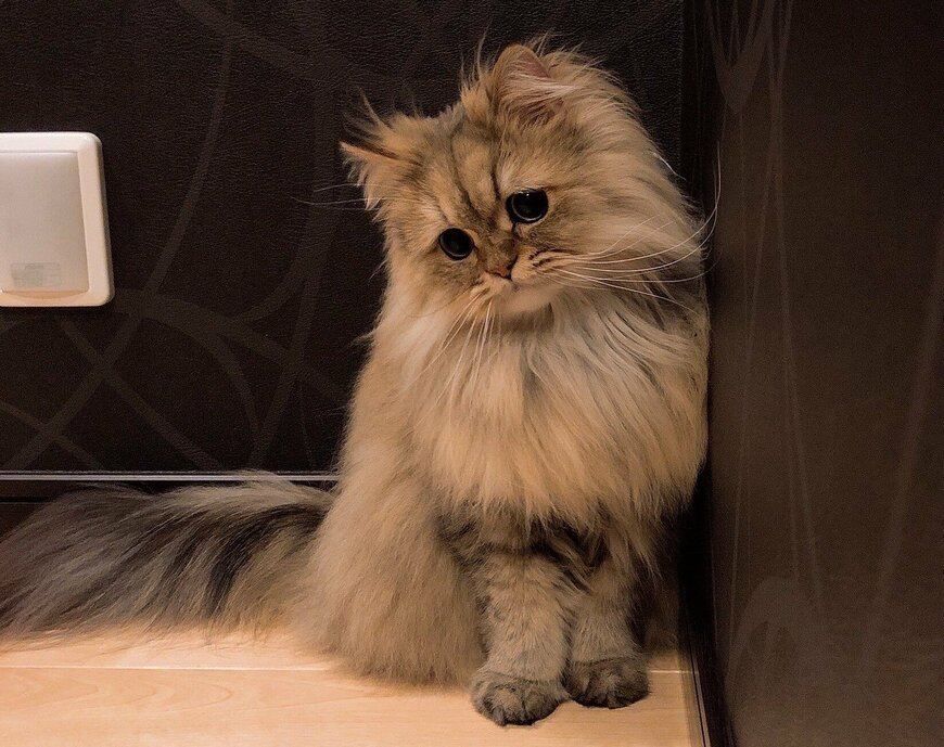 出所：@UphQepCv8J