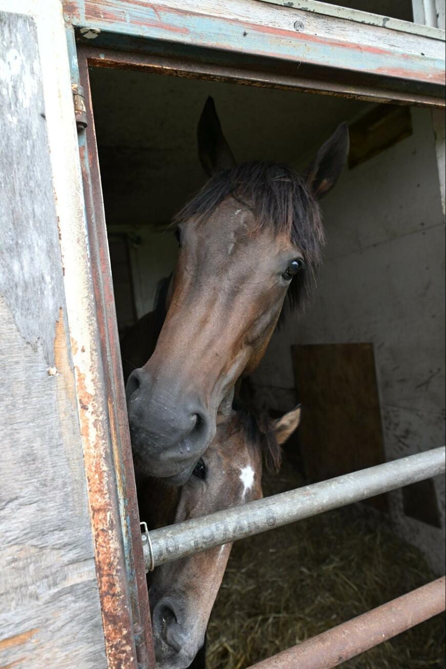 出所：@Shark_Tehm1975