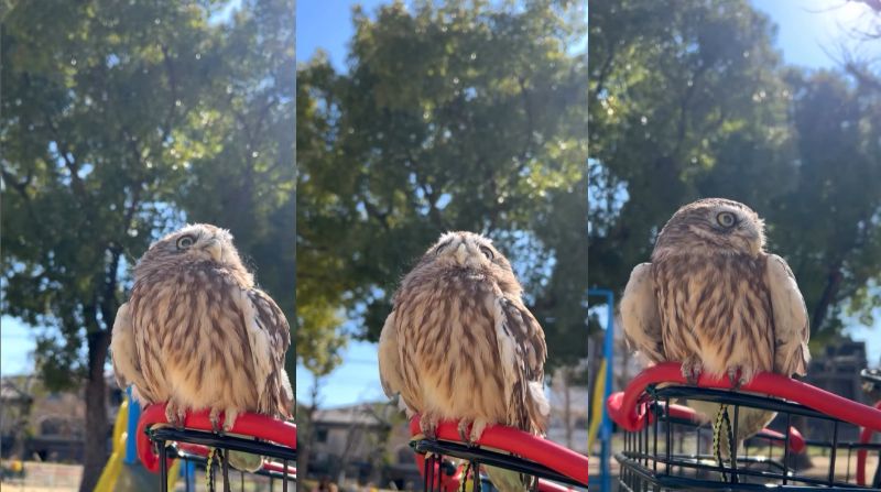 出所：@cr8673.hiro