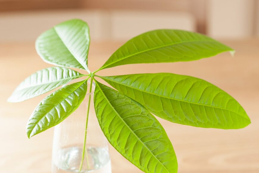 yoshi0511/Shutterstock.com