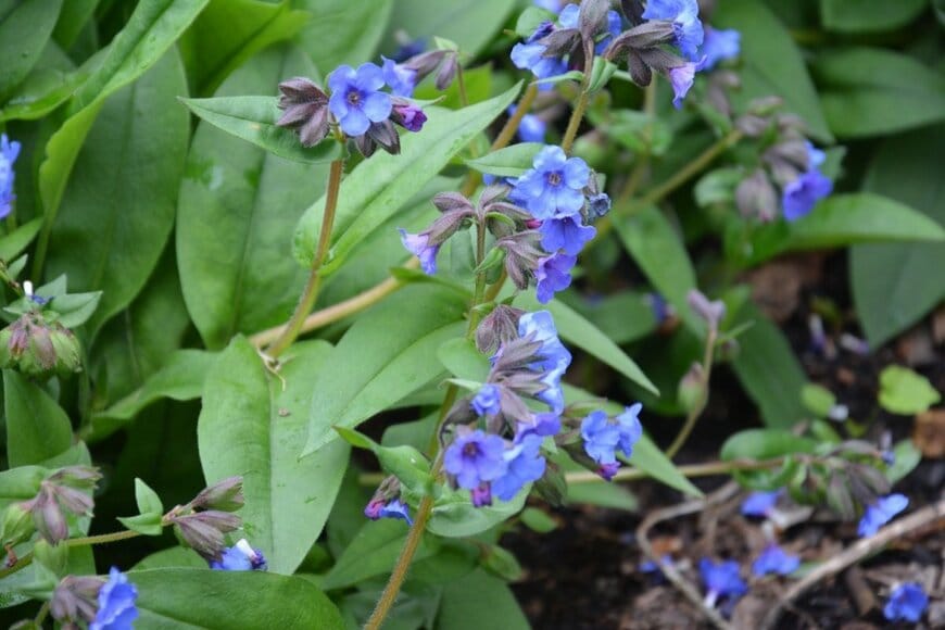 N.Stertz/shutterstock.com