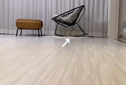 出所：@meltube_cat