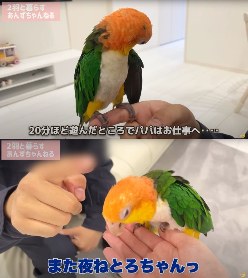 出所：@anz_omomiri