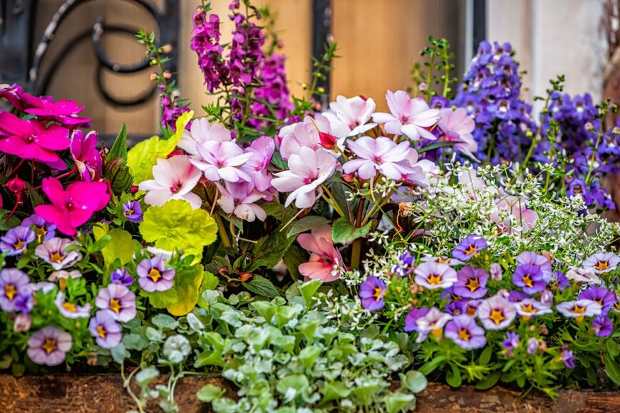 Kristi Blokhin/shutterstock.com