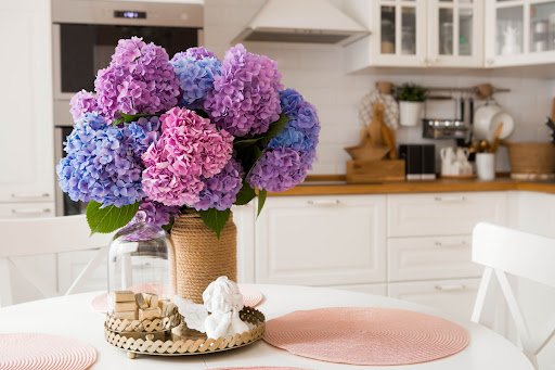 PhotoJuli86/shutterstock.com