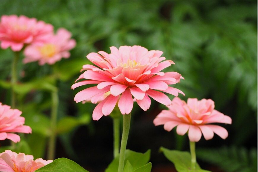 Jenjira Indon/istockphoto.com