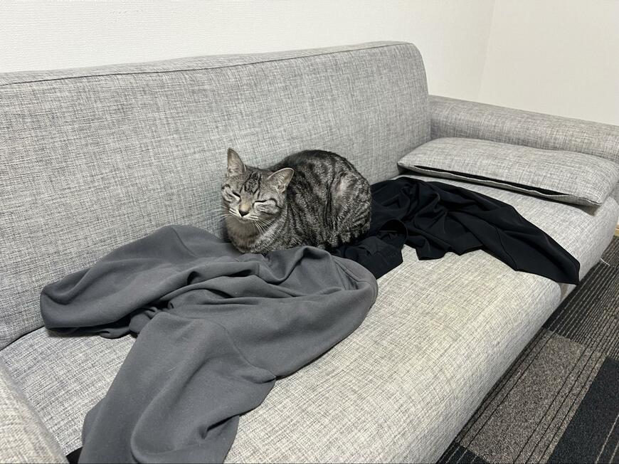 出所：@totomaru_hanmi