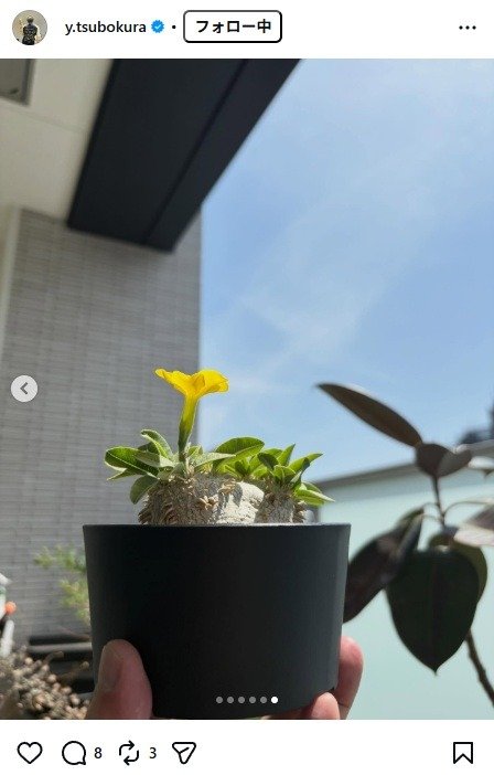 出所：坪倉由幸のInstagram（＠y.tsubokura）　参照日：2026年4月14日