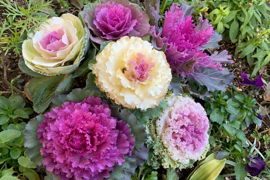 Nokzd/shutterstock.com