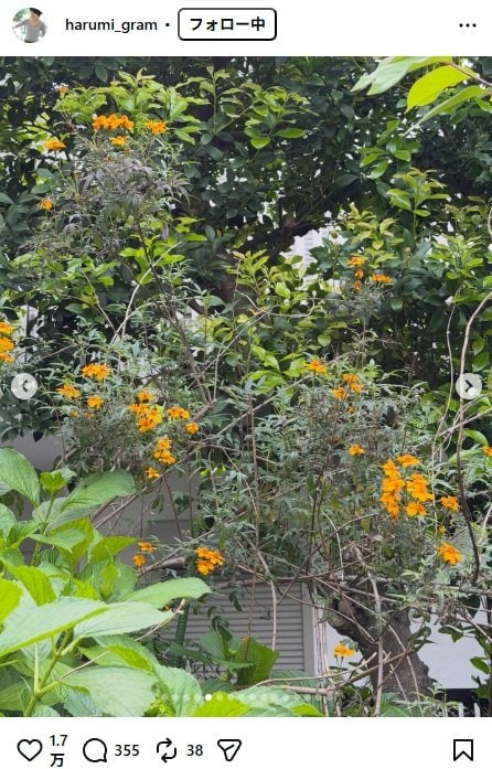 出所：栗原はるみのInstagram（＠harumi_gram） 参照日：2026年4月22日