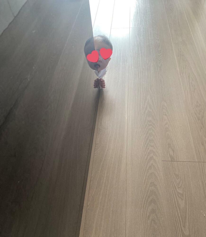 投稿写真