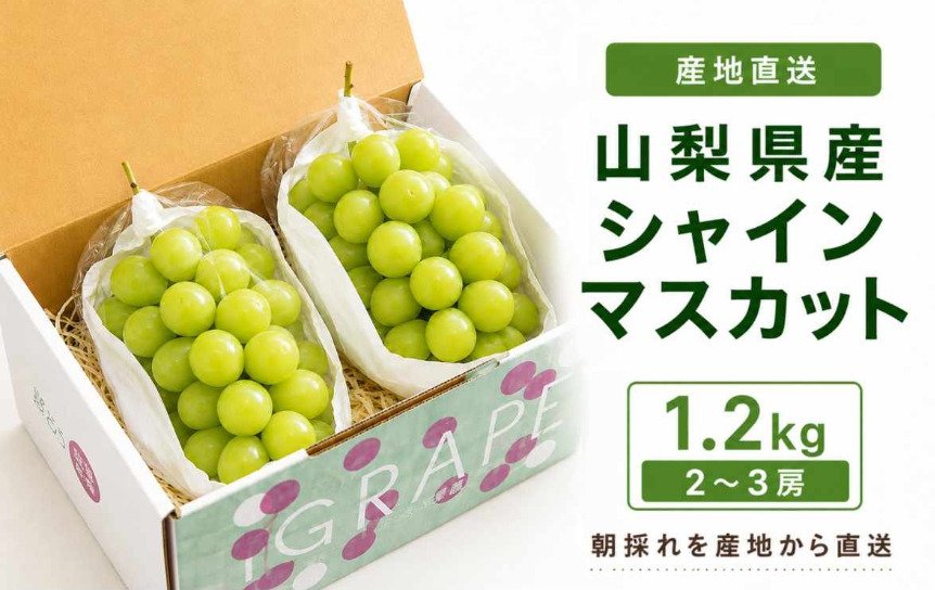 ふるさと納税