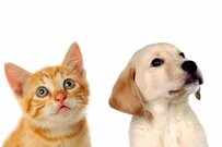 「老後が心配です」30歳代～50歳代は8割超え！シニアの本当の年金平均額はいくら？年齢別に調査