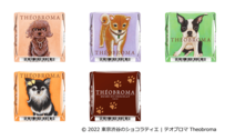「1個50円以下」【チロルチョコ】名店「テオブロマ」コラボ。今年は犬パケ