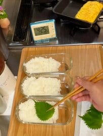 「おかずぎっしりでごはんが見えない！」冷食メインなのに豪華すぎる〈のっけ弁当〉が話題