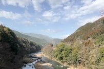 「東京都の西側の山」で撮影された光景に思わず二度見　花粉の大量飛散に「見ただけで目が痒い」
