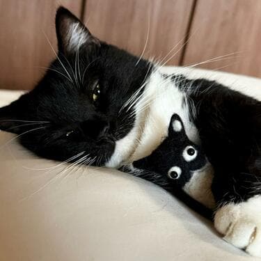 あまりの尊さに胸キュン】飼い主さんが作った自分の人形を抱っこ