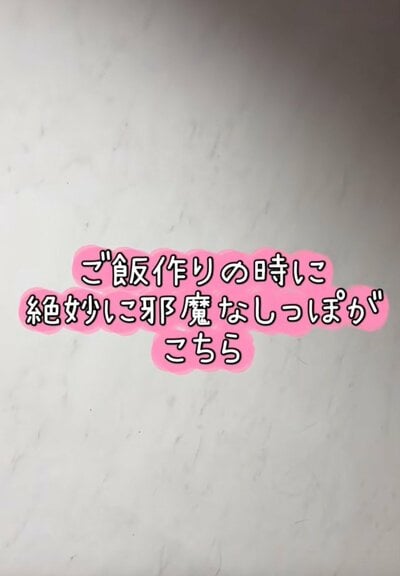 尻尾の行方が気になります！