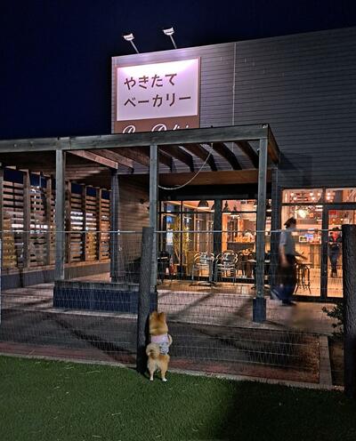 「やきたてベーカリー」に夢中